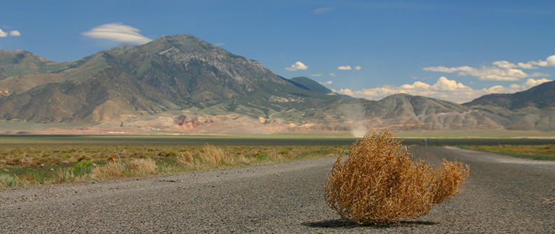 Blog featured image tumbleweed